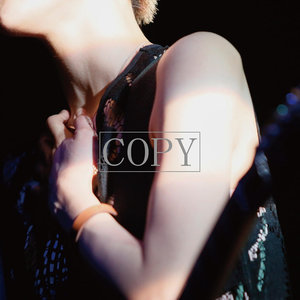 COPY (复制)