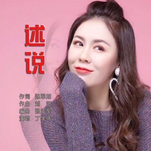 述说