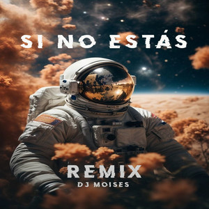 Si No Estás (Remix)