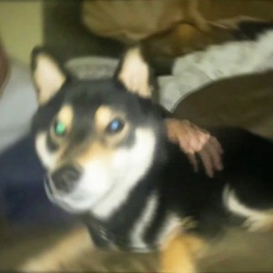 Grinding Teeth(feat. cale! & Lil Prim) (Explicit)