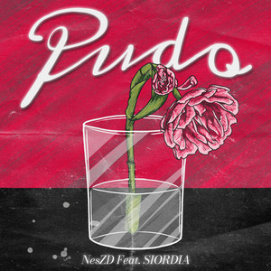 Pudo