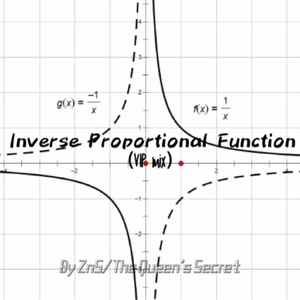 Inverse Proportional Function(VIP mix)