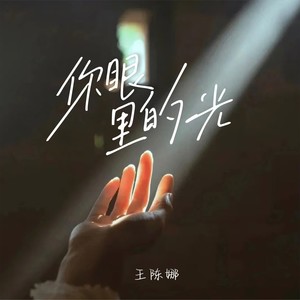 你眼里的光