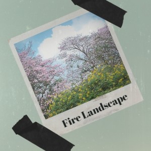 Fire Landscape