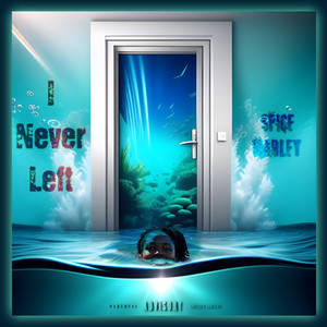 I Never Left (Explicit)