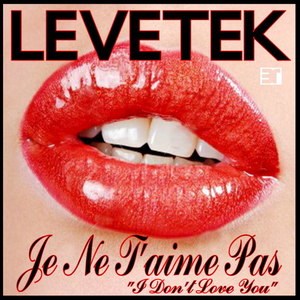 Je Ne T'aime Pas (Rie Edit)