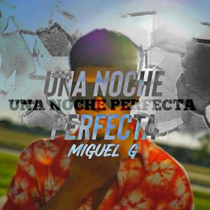 Una Noche Perfecta (Explicit)