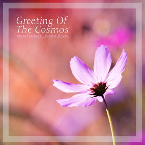 코스모스의 인사 (Greetings from Cosmos)