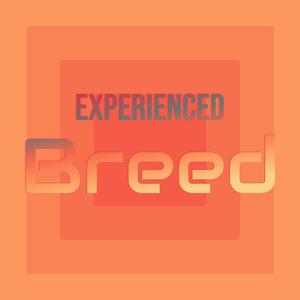 Experienced Breed