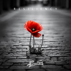 Resiliency (Explicit)