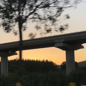 BLVK-幻想抑郁 (New Z remix)