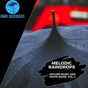 Melodic Raindrops - Nature Music and White Noise, Vol. 3