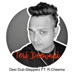 Teri Deewani