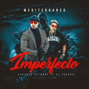 Imperfecto (feat. Mediterraneo & el Terror)