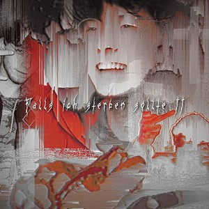 Flügel Sind Gebrochen (Explicit)