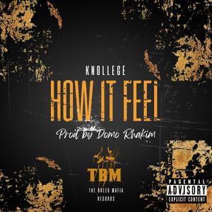 How It Feel (feat. Knollege) (Explicit)