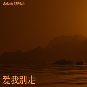 爱我别走 (电吉他Solo版)