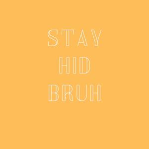 Stay Hid Bruh (feat. YoungJohnnyD)