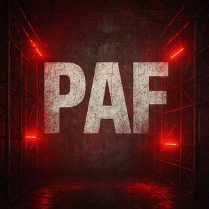 PAF (EXTASE INDUSTRIELLE) (Explicit)