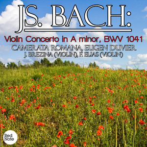 Bach: Violin Concerto in A minor, BWV 1041