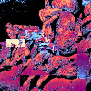 The Spleen... (Explicit)