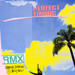 Perfect Timing (Remix)
