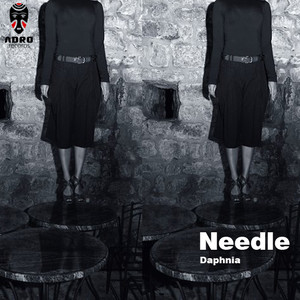 Needle