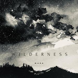 Know Everything(feat. Robin Van Sittert)