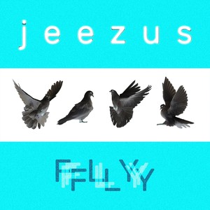 FLY