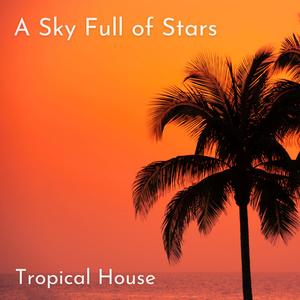 A Sky Full of Stars (feat. Alex Jozeph)