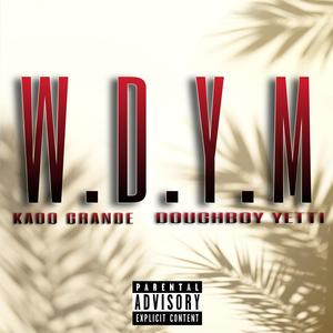 W.D.Y.M (feat. Doughboy Yetti) [Explicit]