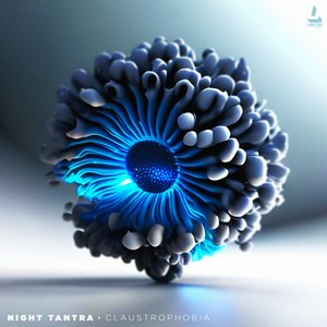 The Silent Roar (Original Mix)