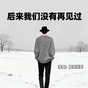 烟嗓超哥 - 后来我们没有再见过 (DJ浩然版伴奏)