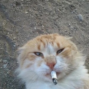 Revelation (Explicit)