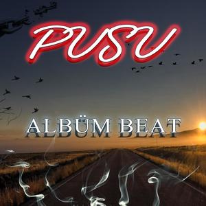 Pusu(feat. Braavo)