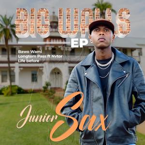 Longtom pass (feat. Nvtor) (original mix)