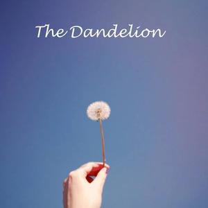 The Dandelion