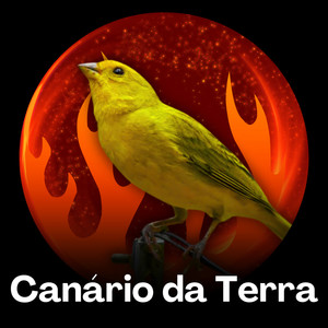 Canário da Terra - Canário da Terra - Esquenta para Competição
