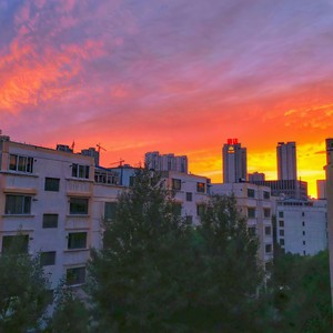 夏天的风 (弹唱版|翻自 温岚)