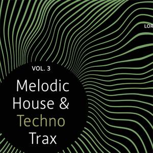 Mesmerism (Original Mix)