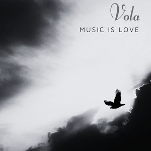 Vola