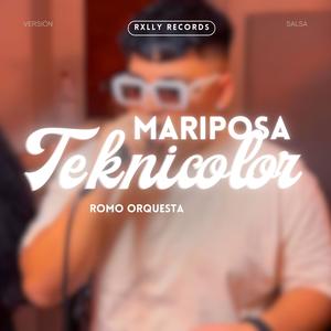 Mariposa Teknicolor (feat. Romo Orquesta) [Explicit]