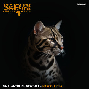 Narcolepsia (Original Mix)