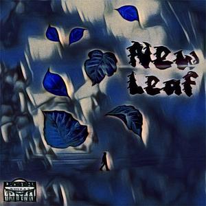 New Leaf (feat. Soulja6star) [Explicit]