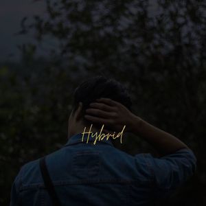 Hybrid
