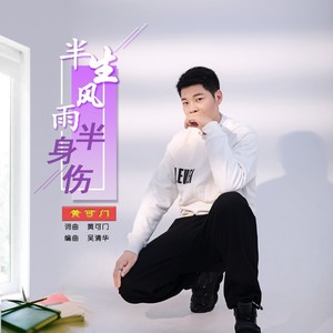 半生风雨半身伤
