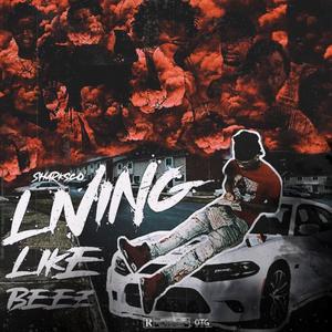 Living Like Beez (Explicit)