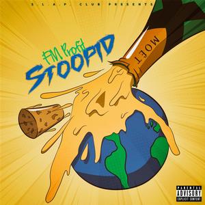 Stoopid(feat. Big JLD) (Explicit)