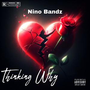 Thinking Why (Explicit)