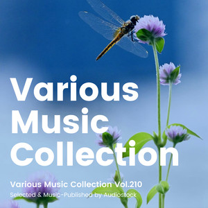 Various Music Collection Vol.210 -Selected & Music-Published by Audiostock-